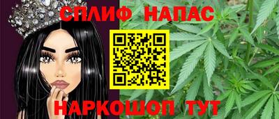 тгк Кингисепп