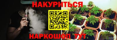 тгк Кингисепп