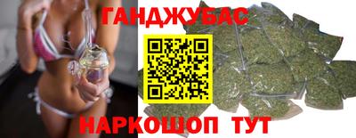 тгк Кингисепп