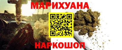 тгк Кингисепп