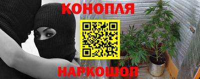 apvp Кинель