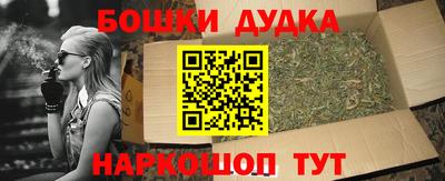 тгк Кингисепп
