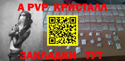 тгк Кингисепп
