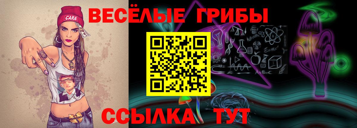Корсаков  Псилоцибиновые грибы MAGIC MUSHROOMS  Псилоцибиновые грибы MAGIC MUSHROOMS  Вход с VPN 